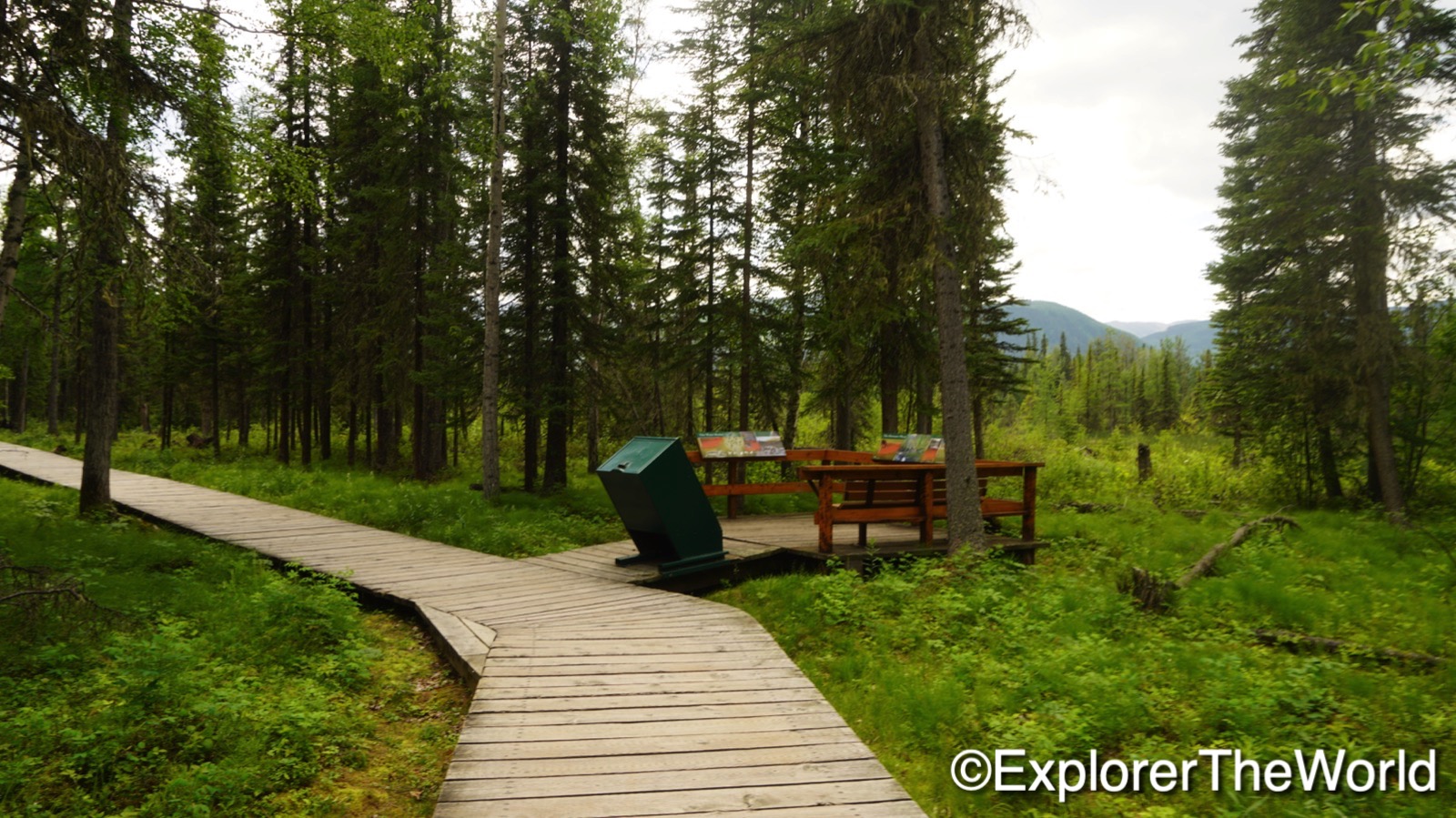 Liard River Hotspings00009