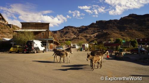 Oatman7