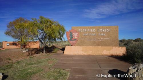 Petrified Forest1
