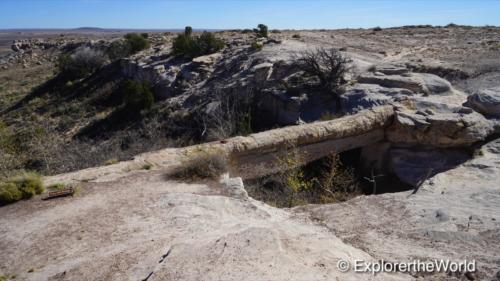 Petrified Forest14