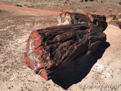 Petrified Forest3