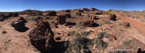 Petrified Forest4