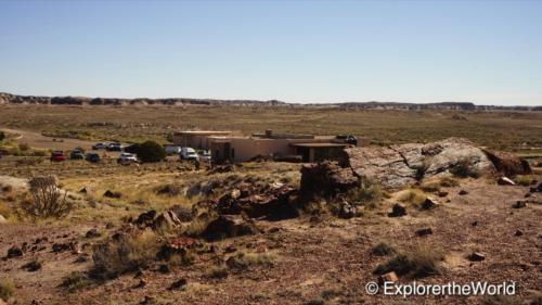 Petrified Forest7